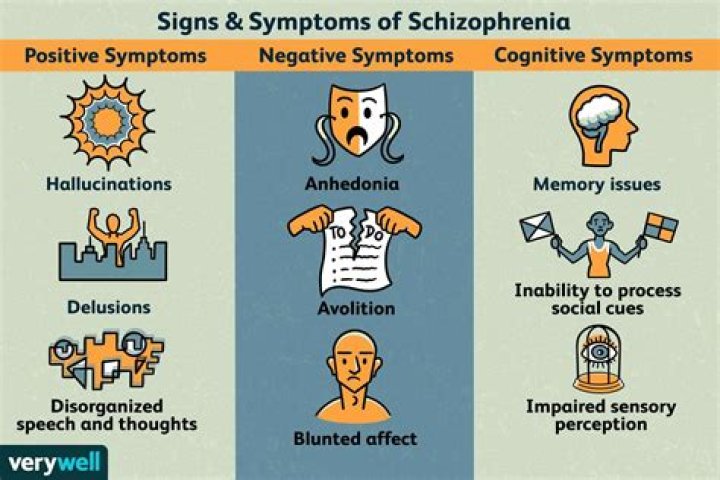Which of the following are the three major categories of the symptoms of schizophrenia