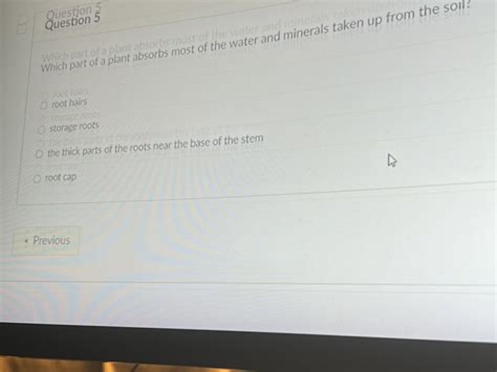 Which part of a plant absorbs most of the water and minerals