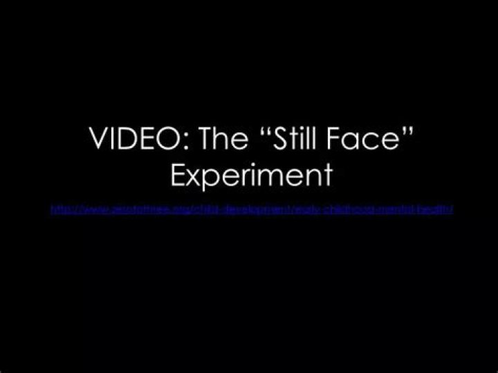Who did the still face experiment