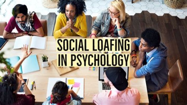 Who discovered social loafing