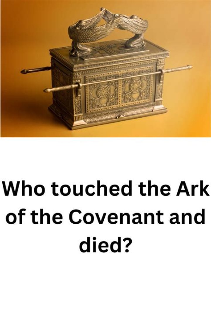 Who touched the Ark of the Covenant