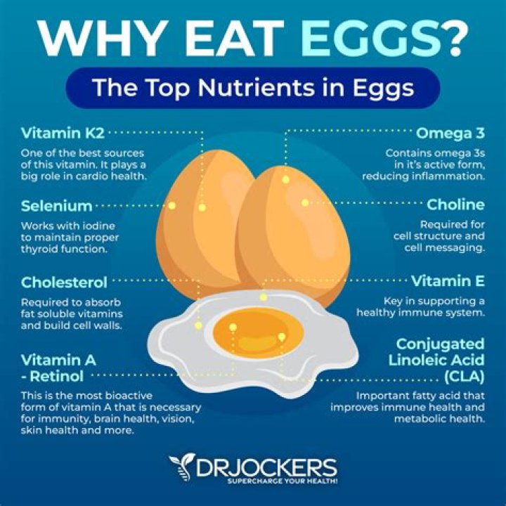 Why are eggs in the UK not refrigerated