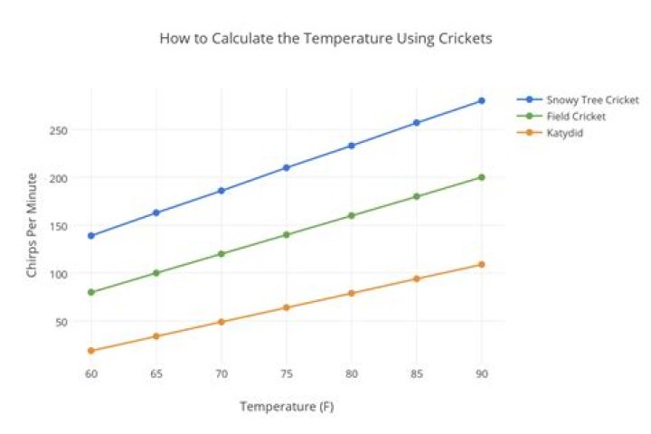 Why can crickets tell the temperature
