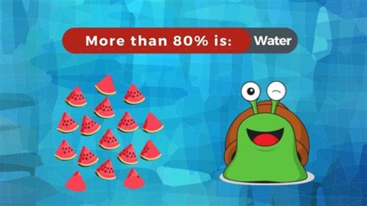 Why do snails come out when it rains