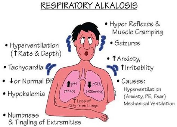 Why does respiratory alkalosis cause hypophosphatemia