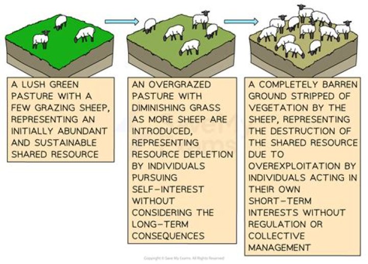 Why does the tragedy of the commons occur