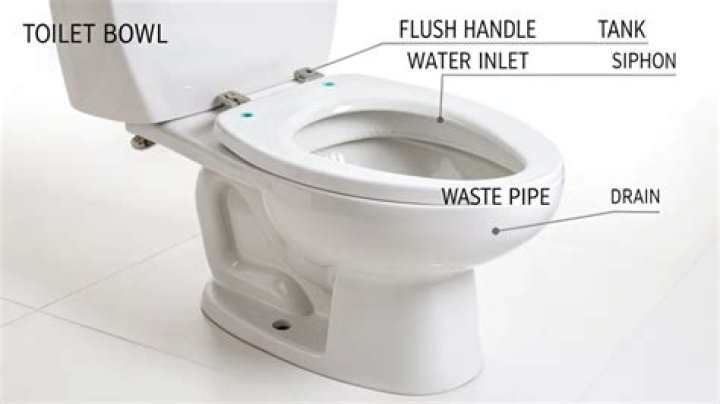 Why is a toilet called a Netty