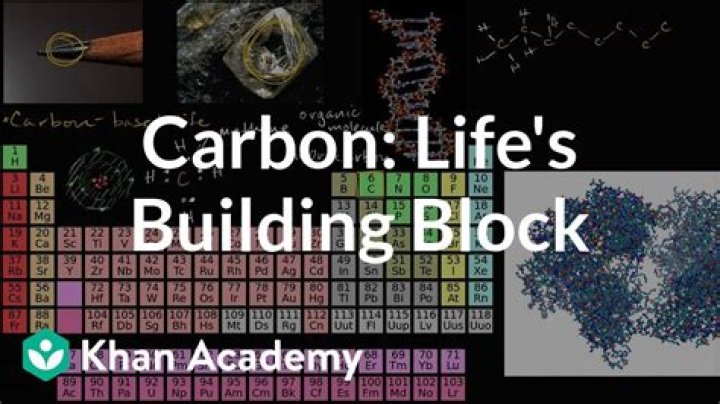 Why is carbon the building blocks of life