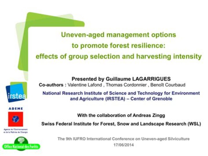 Why is uneven aged management a better way to manage forests