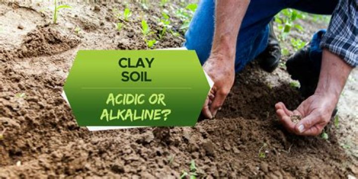 Why lime is added to an acidic soil