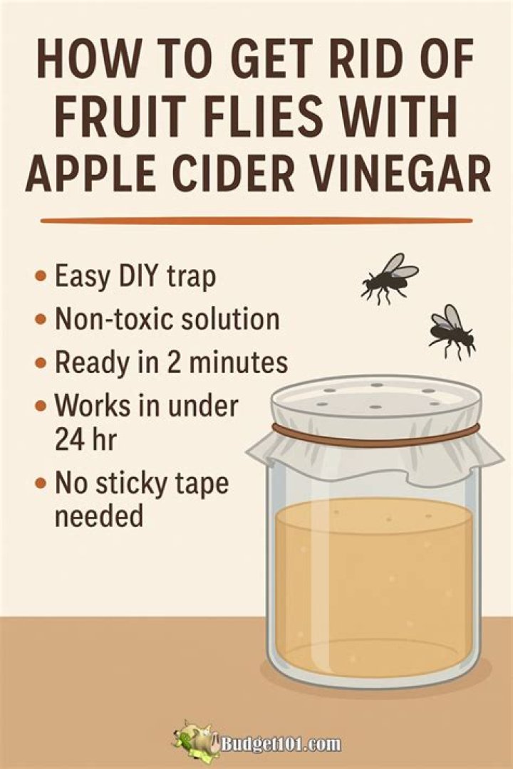 Will Apple cider vinegar kill fruit flies